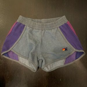Purple link and grey aviator nation shorts